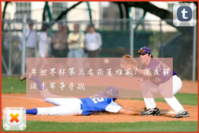 年世界杯第三名花落谁家？深度解读季军争夺战