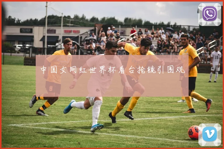 中国女网红世界杯看台抢镜引围观