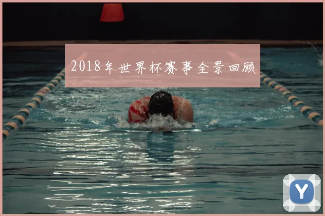 2018年世界杯赛事全景回顾