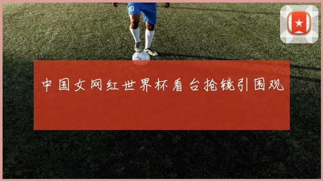 中国女网红世界杯看台抢镜引围观
