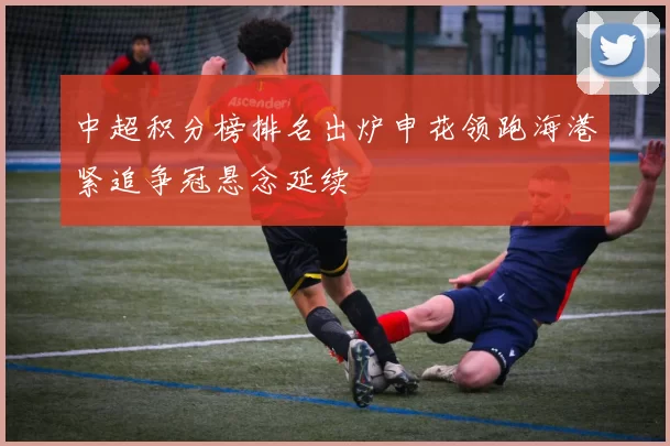 中超积分榜排名出炉申花领跑海港紧追争冠悬念延续